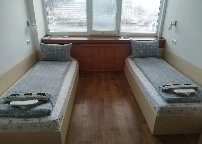 рачо ковача